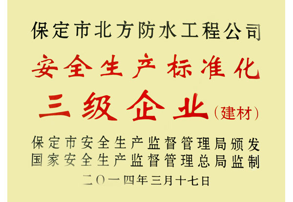 安全生產標準化三級企業(yè)